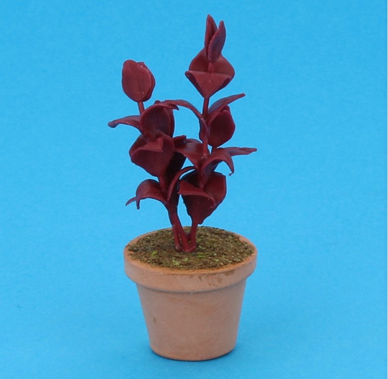 Sm4010 - Pot avec plante
