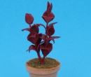 Sm4010 - Pot with plant