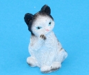 Tc1943 - Cat lying