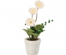Tc2549 - Vaso bianco con fiori