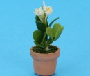 Sm8104 - Vaso con fiori