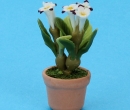 Sm8111 - Vaso con fiori