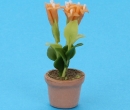 Sm8148 - Pot avec des fleurs