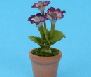 Sm8173 - Vaso di fiori