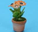 Sm8180 - Vaso con fiori