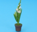 Sb0005 - Vaso di fiori