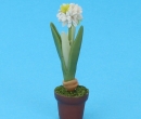 Sb0011 - Vaso di fiori