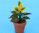 Sb0019 - Pot avec des fleurs