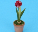 Sb0021 - Flower pot