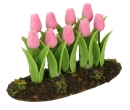 Sb0041 - Plante avec des tulipes