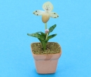 Sm8106 - Vaso con orchidea