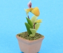 Sm8113 - Vaso con orchidea