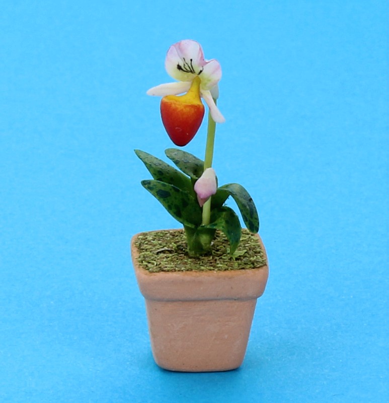 Sm8406 - Pot à orchidée