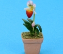 Sm8190 - Pot with orchid