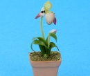 Sm8192 - Vaso con orchidea