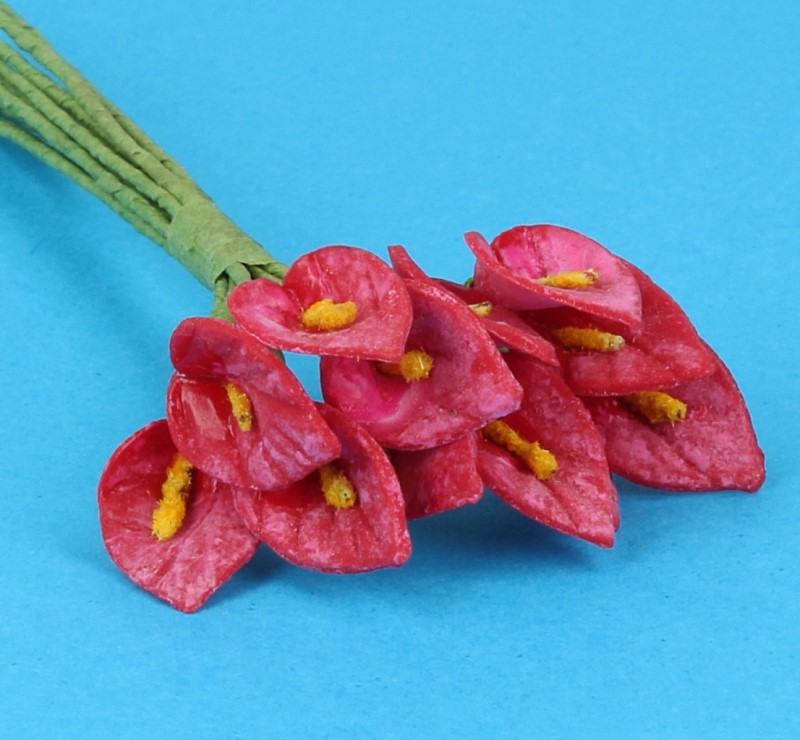 Ou0033 - Red flowers
