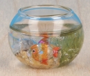 Tc2358 - Acquario con pesce