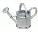 Tc0975 - Silver watering can